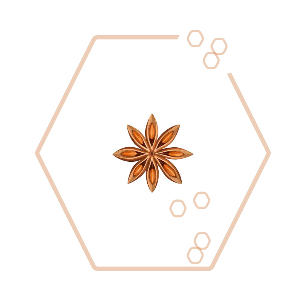 MeadAnis — the SIMPLY MEAD star-anise mascot illustration.